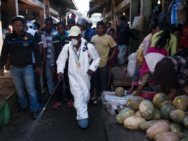 A council worker sprays disinfectant as a deadly outbreak of the plague spreads through cities across Madagascar