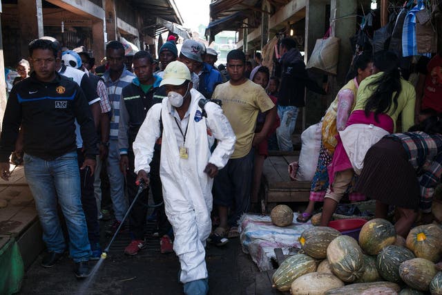 A council worker sprays disinfectant as a deadly outbreak of the plague spreads through cities across Madagascar