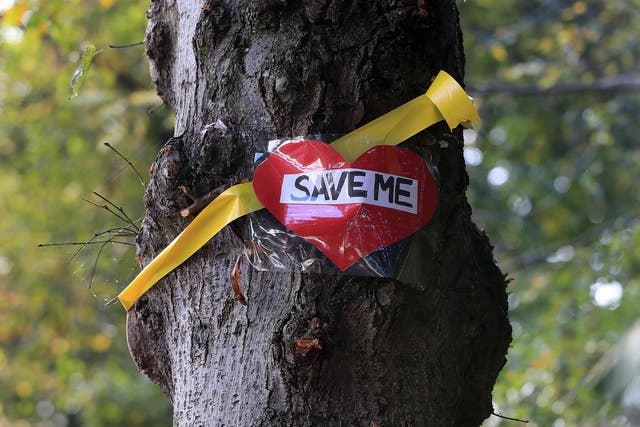 A yellow ribbon and message placed by campaigners on a tree on Rivelin Valley Road in Sheffield