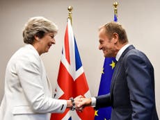 Tory Brexiteers will waste no time replacing May in the negotiations