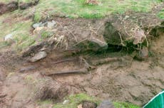Storm Ophelia unearths ancient skeleton