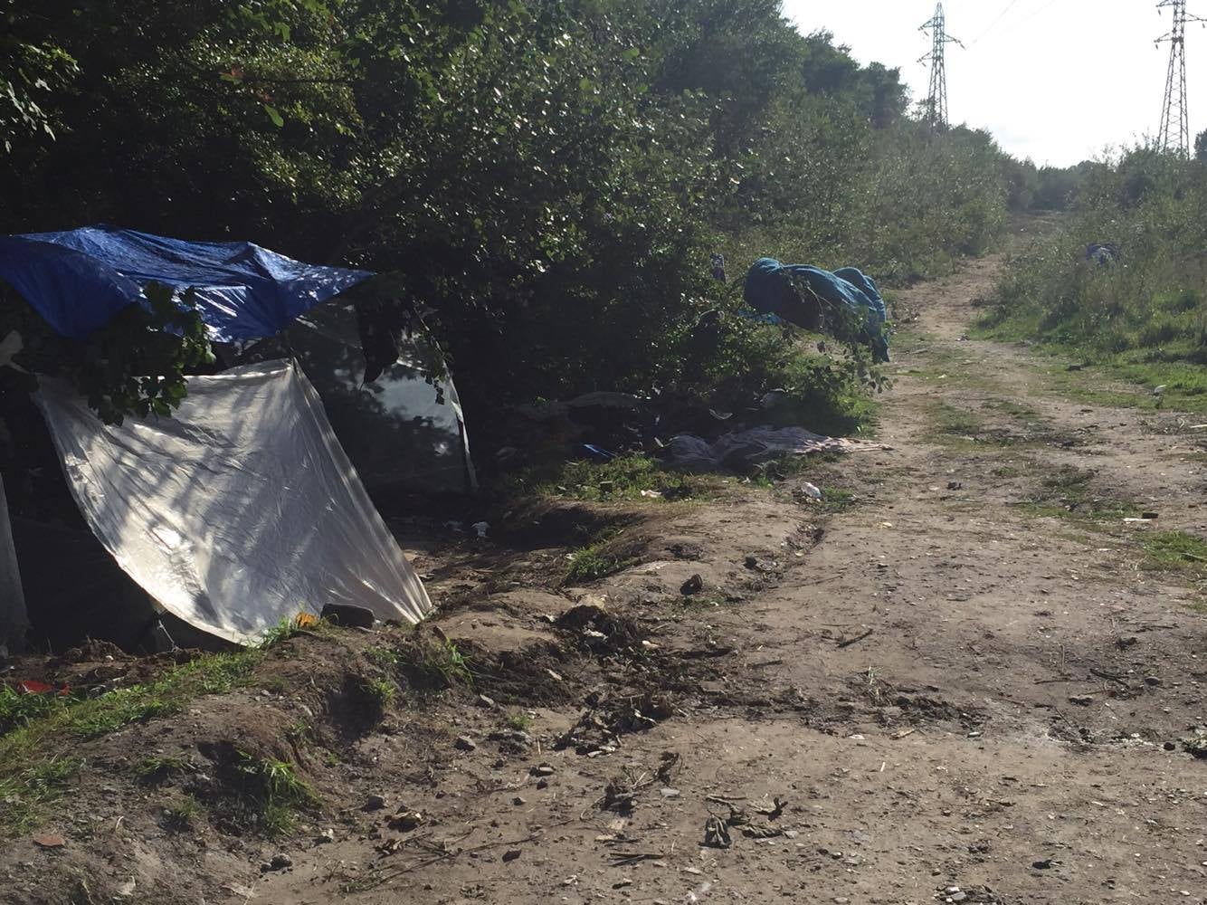 The edge of the woodland where the women and girls sleep alongside hundreds of male refugees and routine police abuses