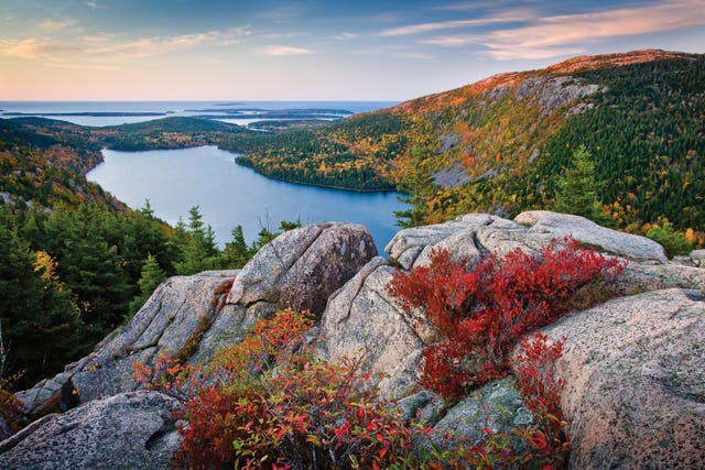 There's still time – just – to see the fall colours of Acadia National Park