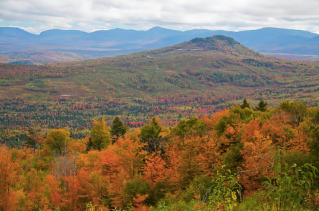 Fall foliage: Where to catch the last colours of the season in New ...