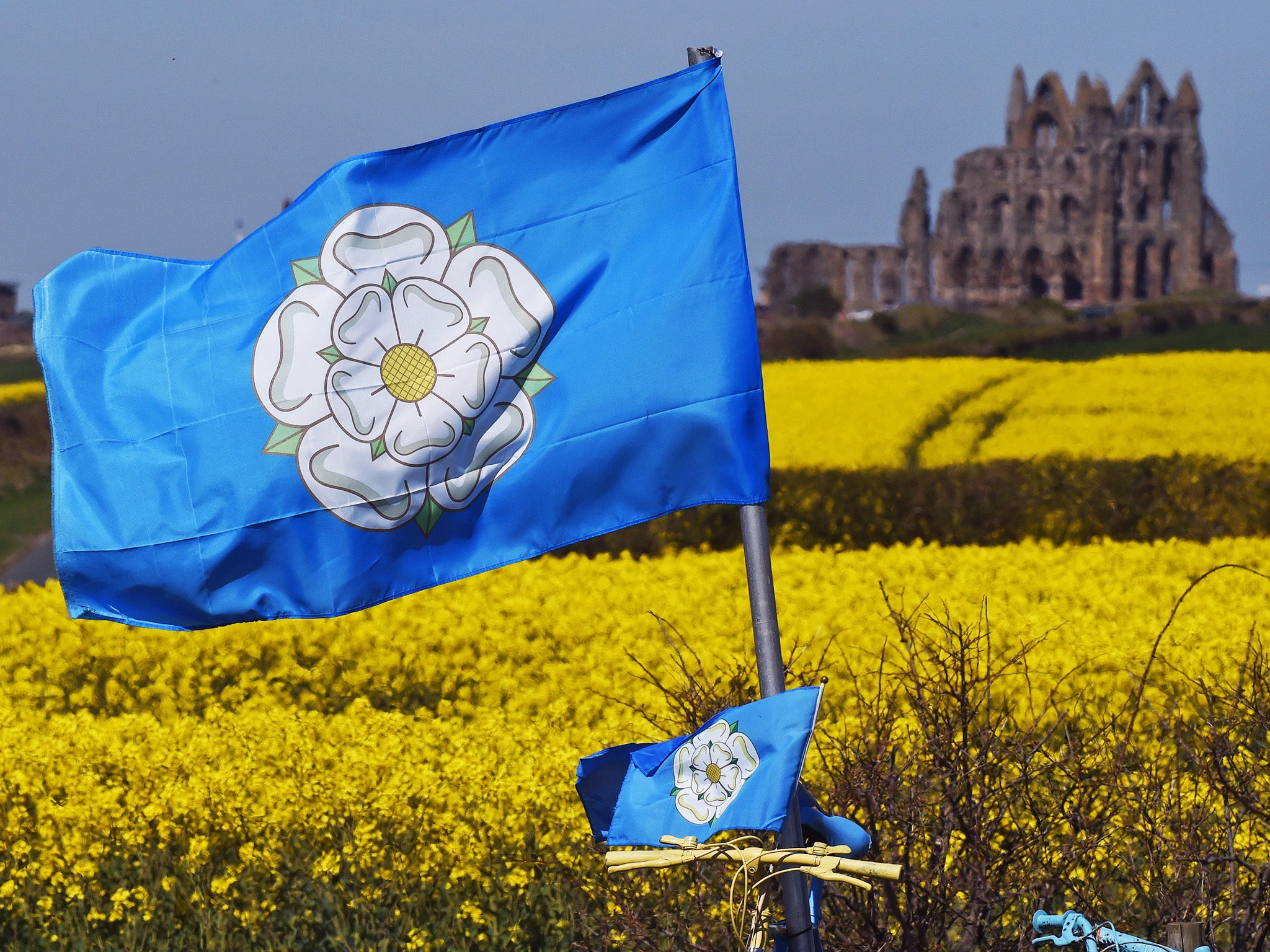 The White Rose of Yorkshire: seen near Whitby Abbey along the route for the Tour de Yorkshire