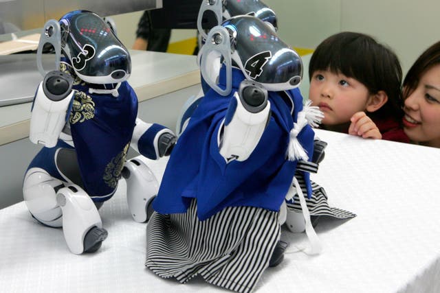A girl and her mother look at Sony's robot dog AIBO at Robot Festa 2006 in Tokyo March 25, 2006