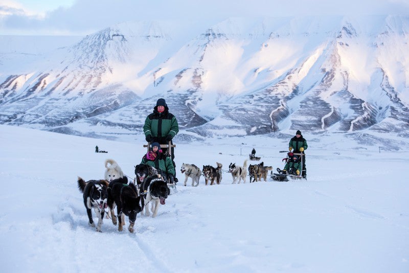 Husky sledging is among the activities you can enjoy in Longyearbyen