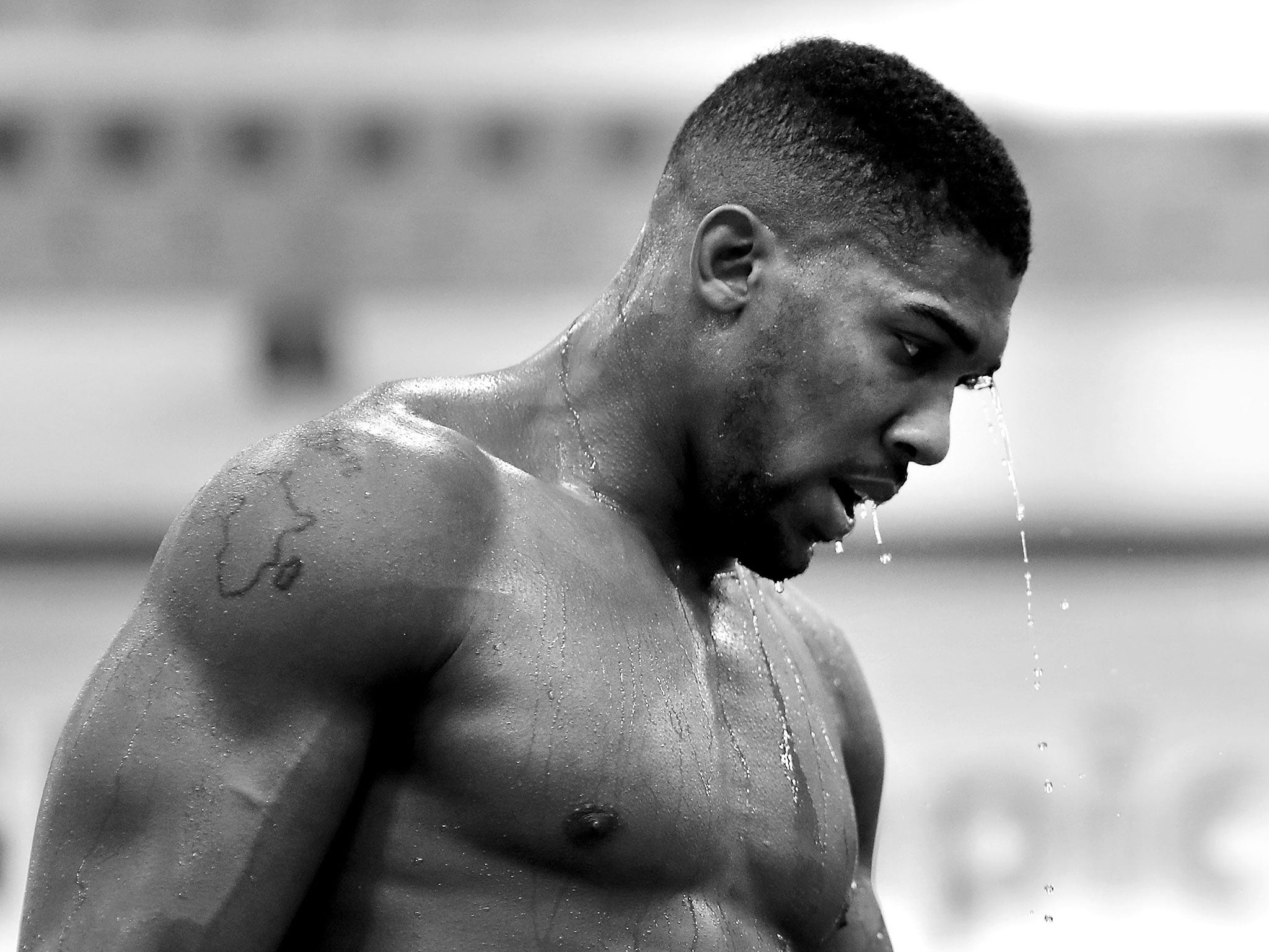 Anthony Joshua has the potential to carve out a lasting legacy