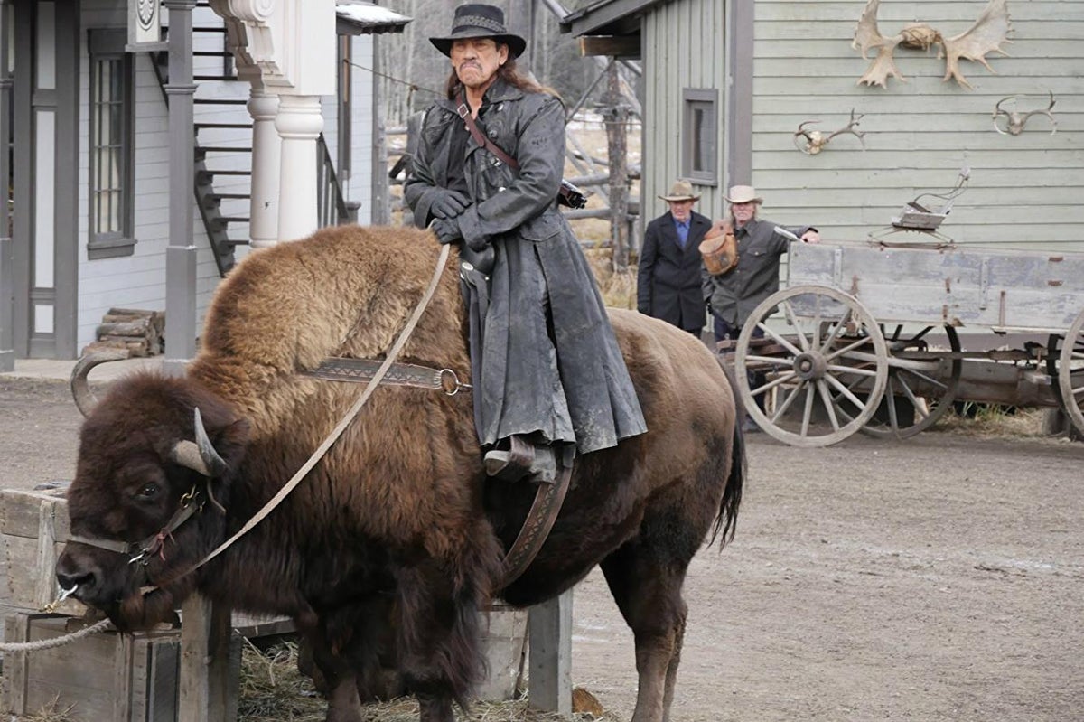 strand Scan festspil Danny Trejo interview: what it's like to ride a buffalo | The Independent |  The Independent