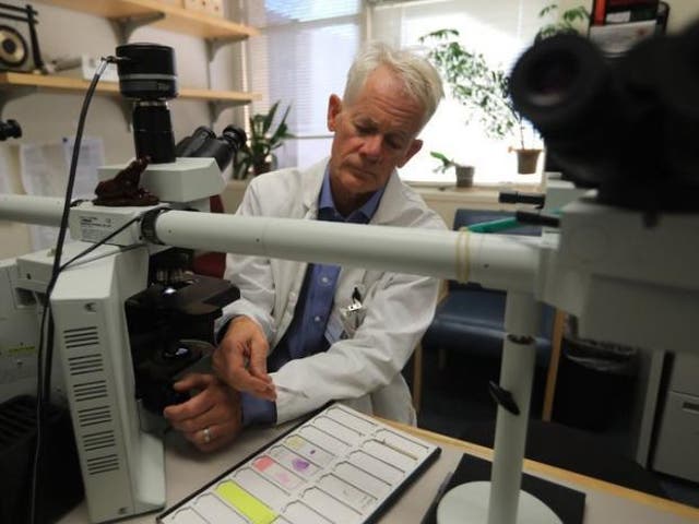 Dr Hannes Vogel, head of neuropathology at Stanford University, looking at brain tissue slides in his lab