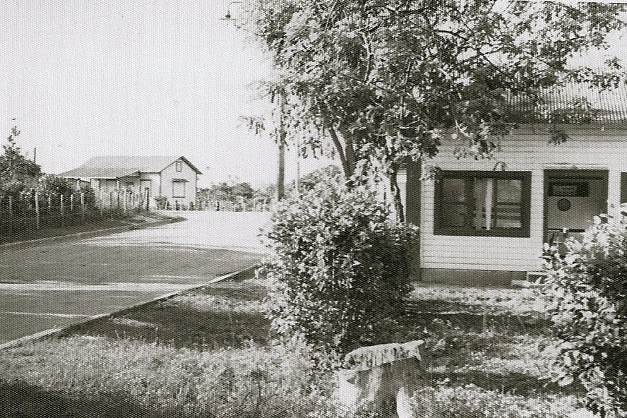 Gathering place: the Codik family home