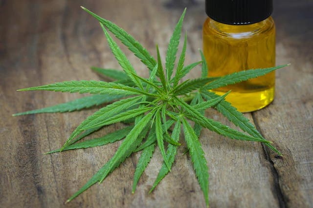 CBD oils in the UK are a licensed medical product that can be bought legally