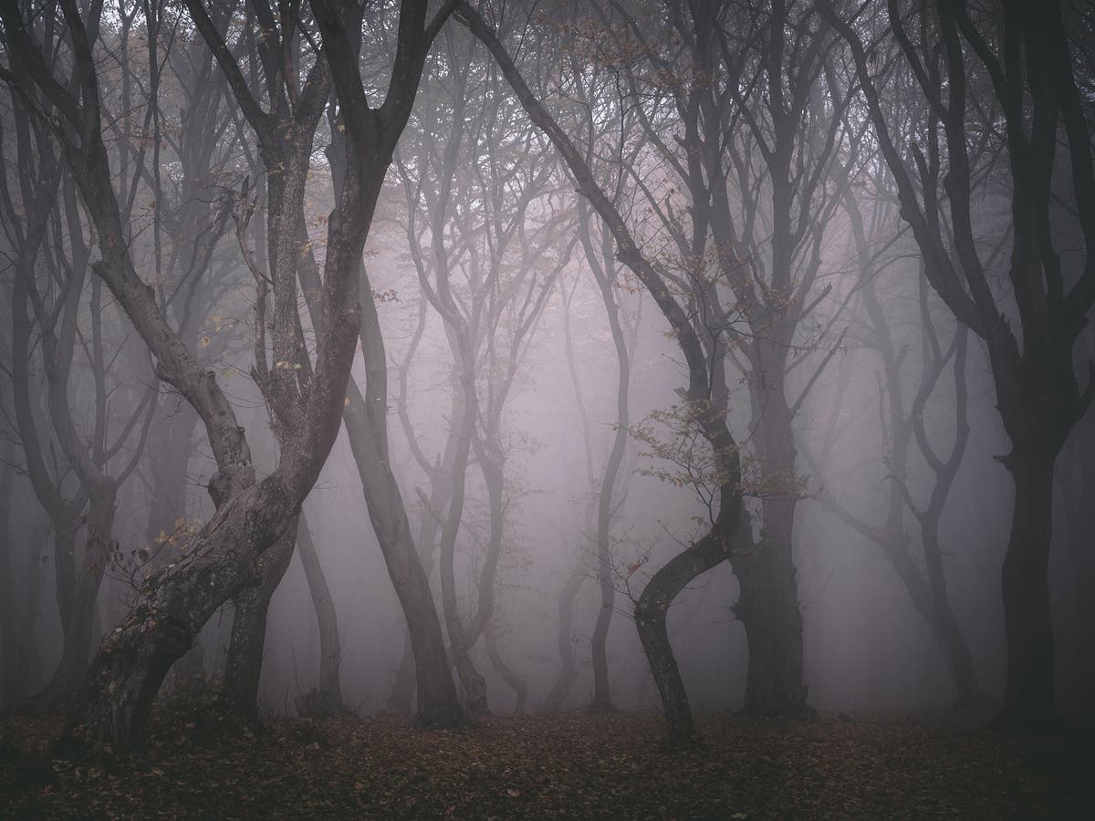 This woman spent the night in a the creepiest forest in Transylvania