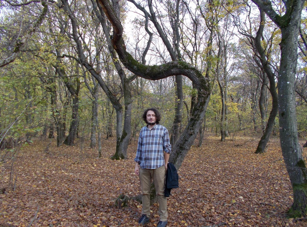 Hoia Baciu Inside The Creepiest Forest In Transylvania The Independent The Independent Hoia Baciu Inside The Creepiest Forest In Transylvania The Independent The Independent