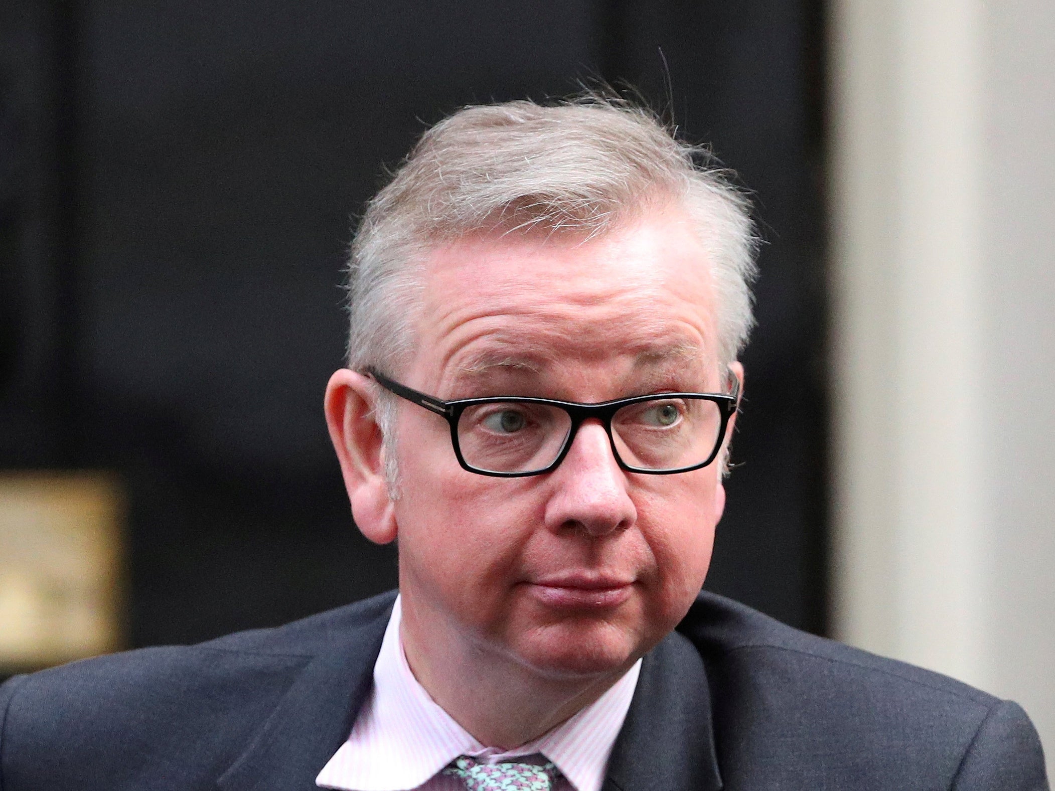 Secretary of State for Environment, Food and Rural Affairs Michael Gove has re-invigorated Tory green policies