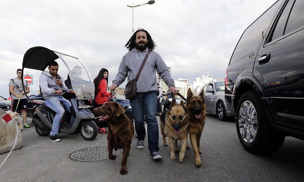 A Lebanese man walks with his dogs, during an outing to promote animal rights in the capital