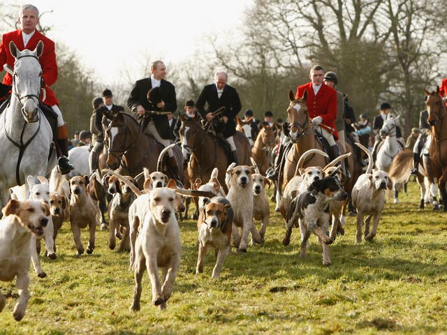 Coombe Farm, where notes reveal a hunt was contacted to dispose of animals