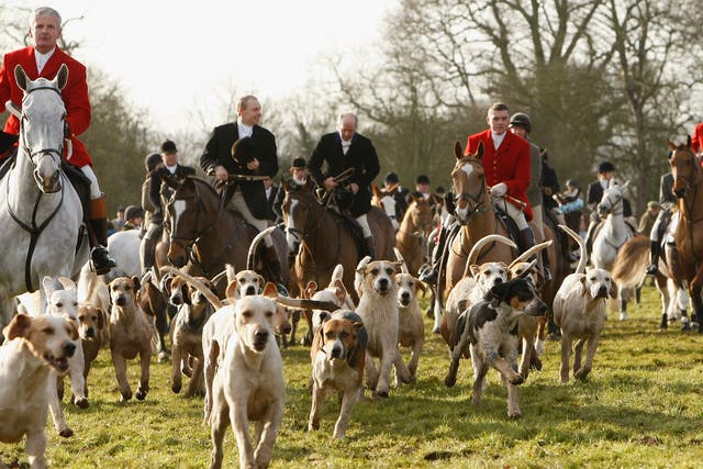 Coombe Farm, where notes reveal a hunt was contacted to dispose of animals