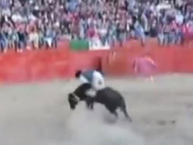 The unnamed Peruvian bullfighter was trying to ride the bull