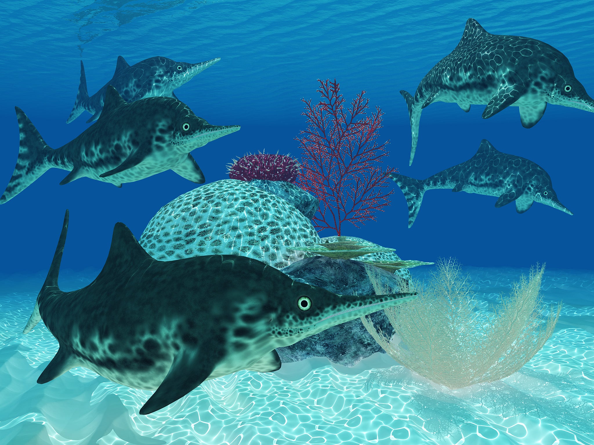 &#13;
Ichthyosaurus was a large marine reptile carnivore from the Triassic and Jurassic eras &#13;