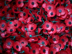 Why do we wear red poppies for Armistice Day?