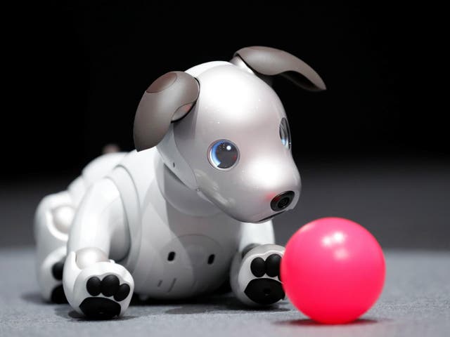 Sony Corp's entertainment robot "aibo" is pictured at its demonstration in Tokyo, Japan November 1, 2017