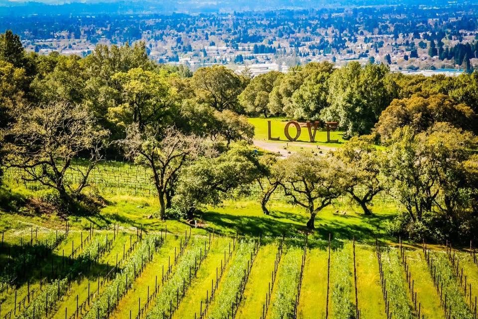 Paradise Ridge Winery before the fires. The property’s sculptures, including the Love artwork pictured here, survived (Paradise Ridge Winery)