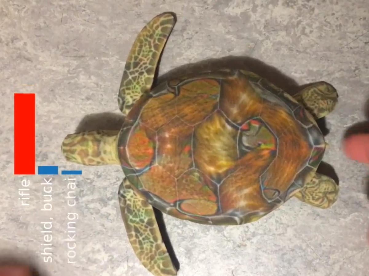 'Vulnerable' AI tricked into thinking a turtle is a rifle and a cat is ...