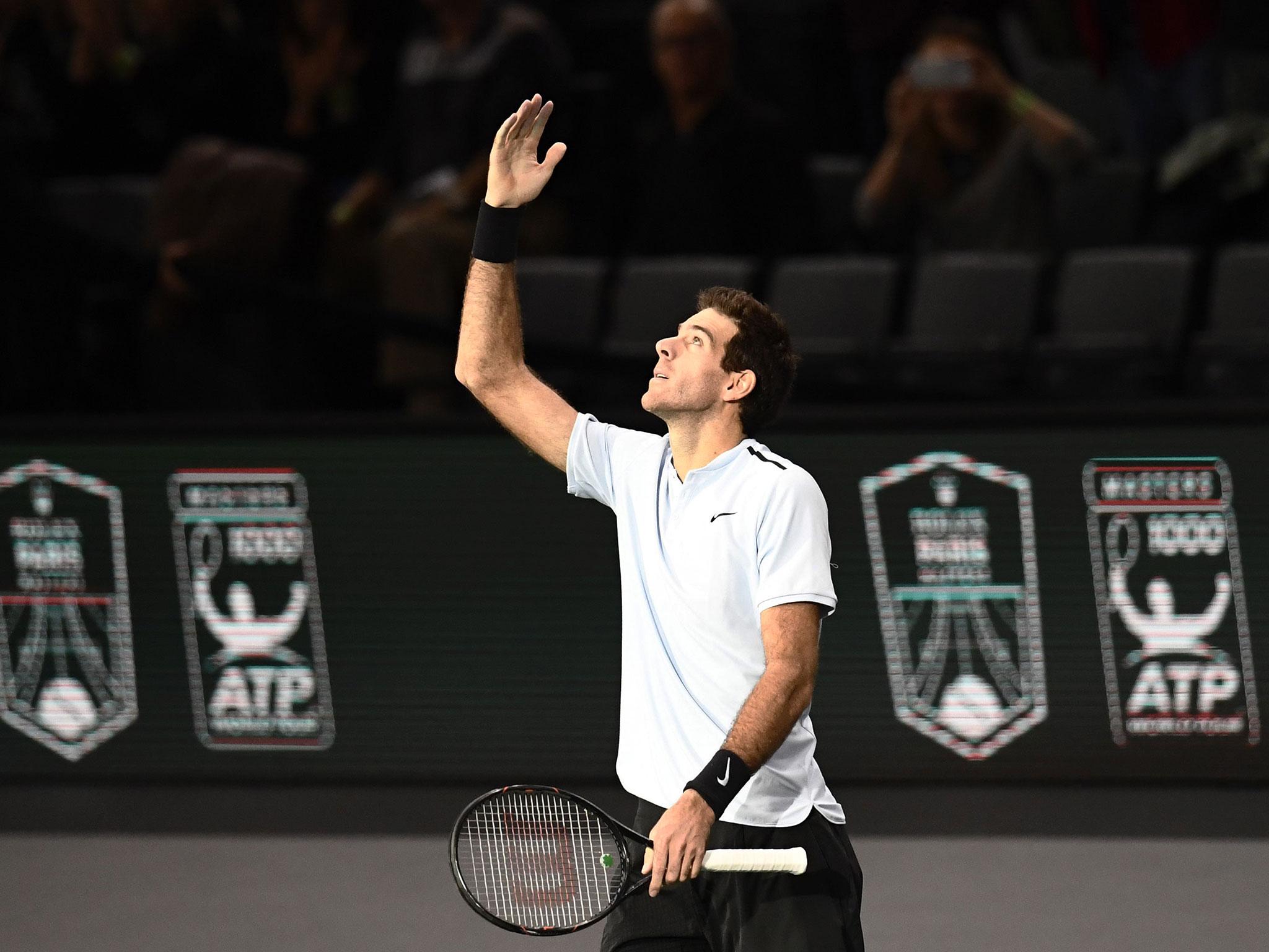 Del Potro faces John Isner next