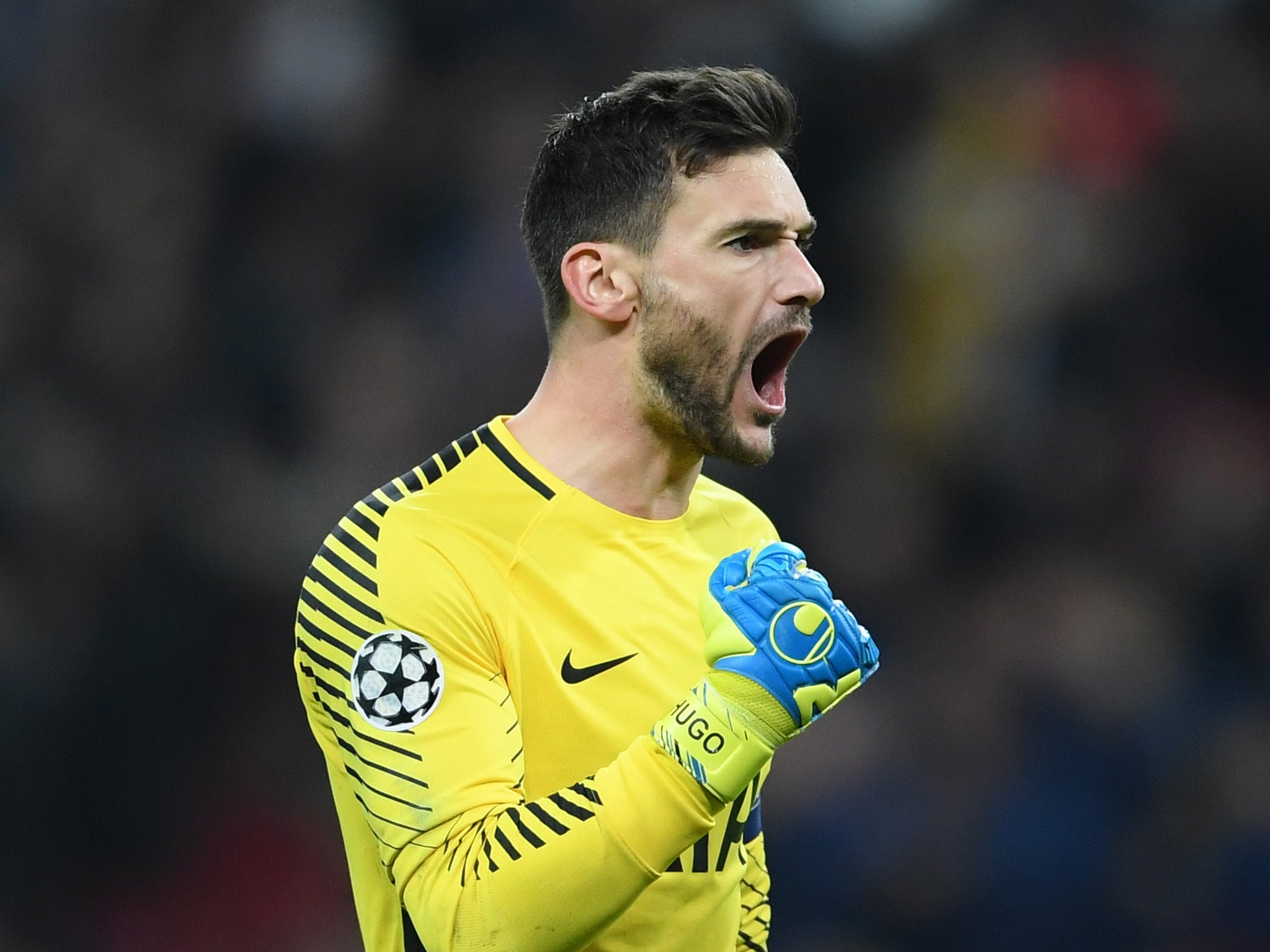 Lloris will miss the international break with injury