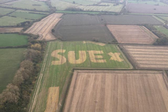 The mystery of a field message sporting the words Sue x in Oxfordshire has now been solved after a social media campaign went viral - and it's not as outlandish as you may think.