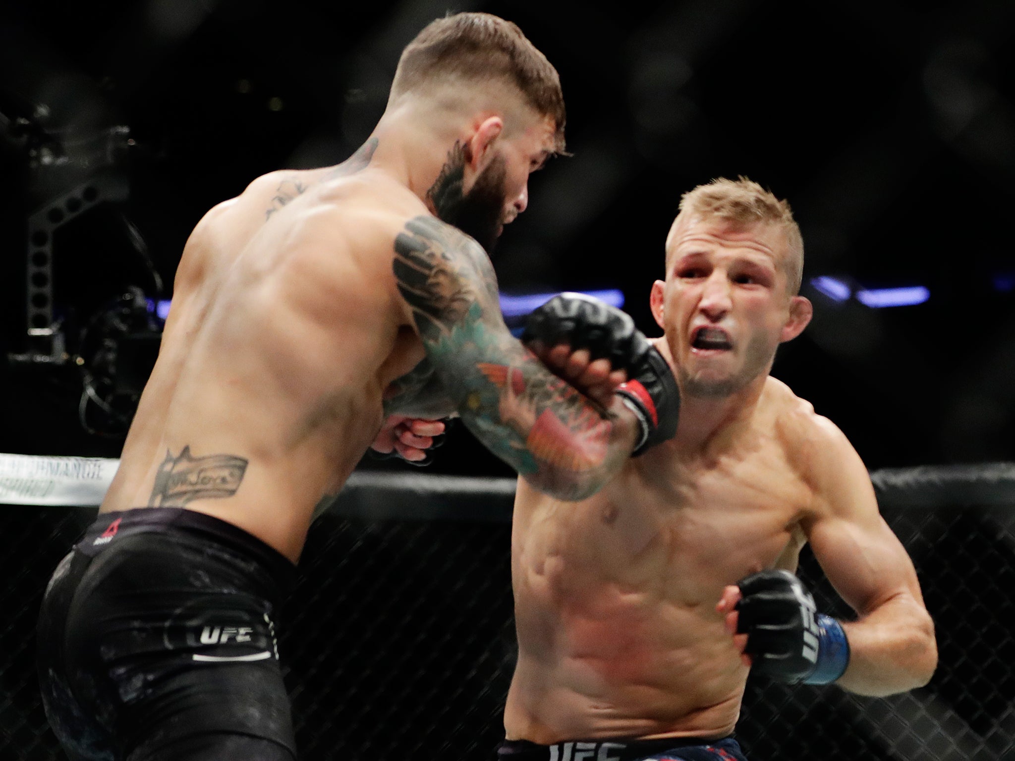 Cody Garbrandt was stopped by rival TJ Dillashaw