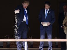 Trump tramples Japanese koi carp ritual by dumping entire box in pond
