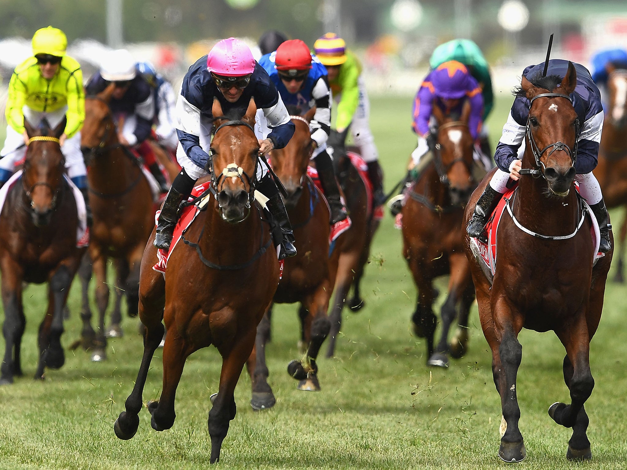 Rekindling and Corey Brown (left) head towards victory in the Melbourne Cup