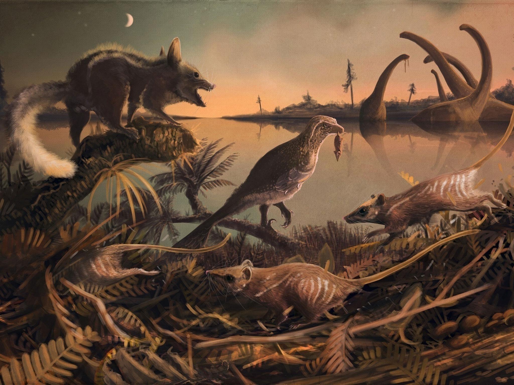 The small furry mammals scurried in the shadow of the dinosaurs 145 million years ago