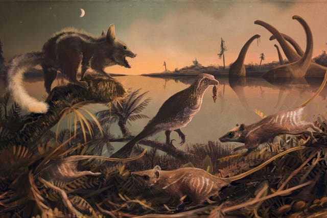 The small furry mammals scurried in the shadow of the dinosaurs 145 million years ago