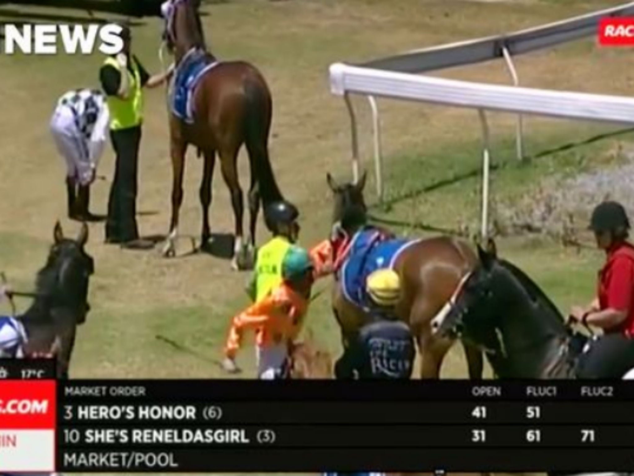 Caboche was caught on camera punching the horse in the stomach (Channel 9)