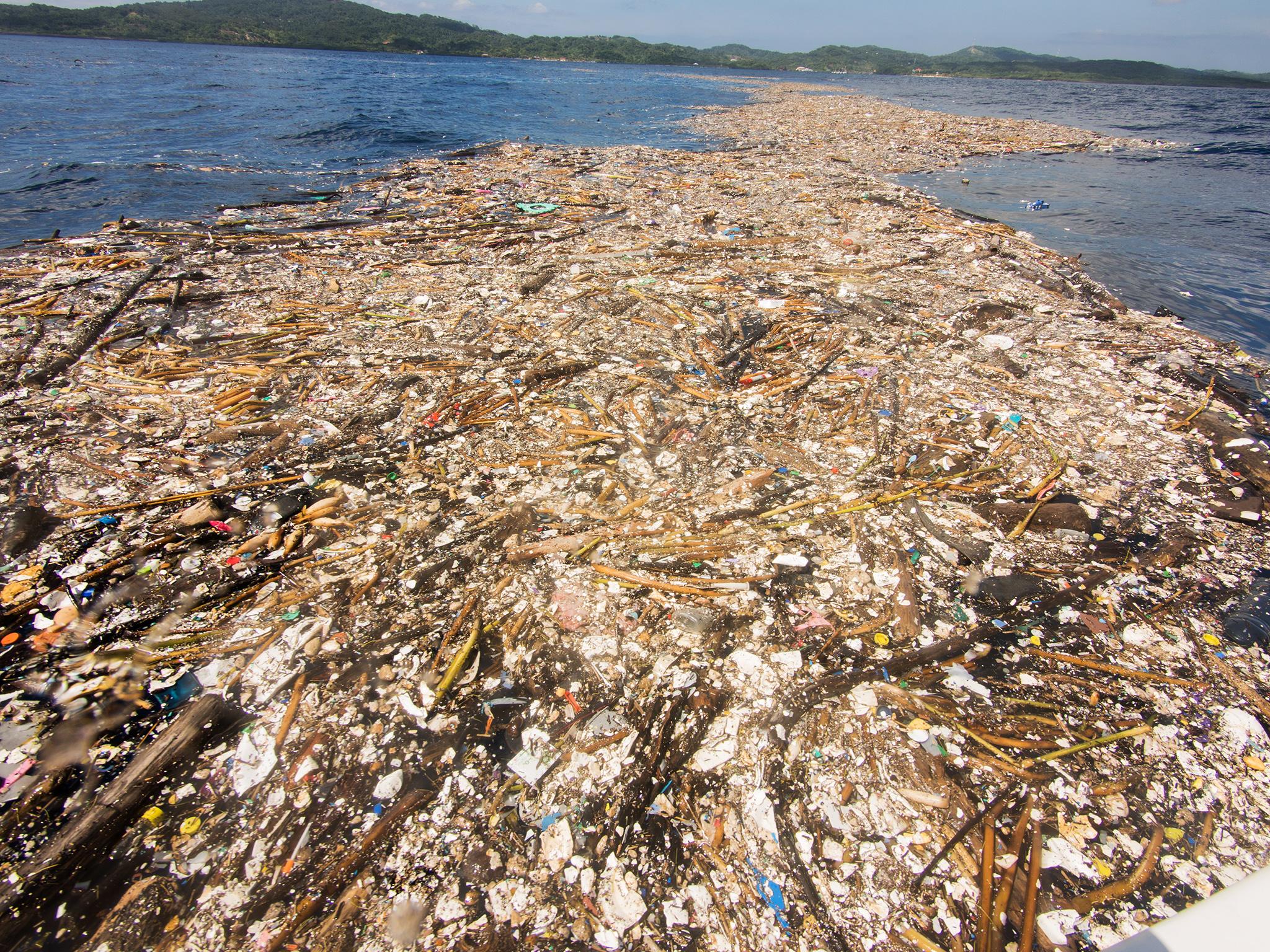 Plastic pollution plaguing our seas