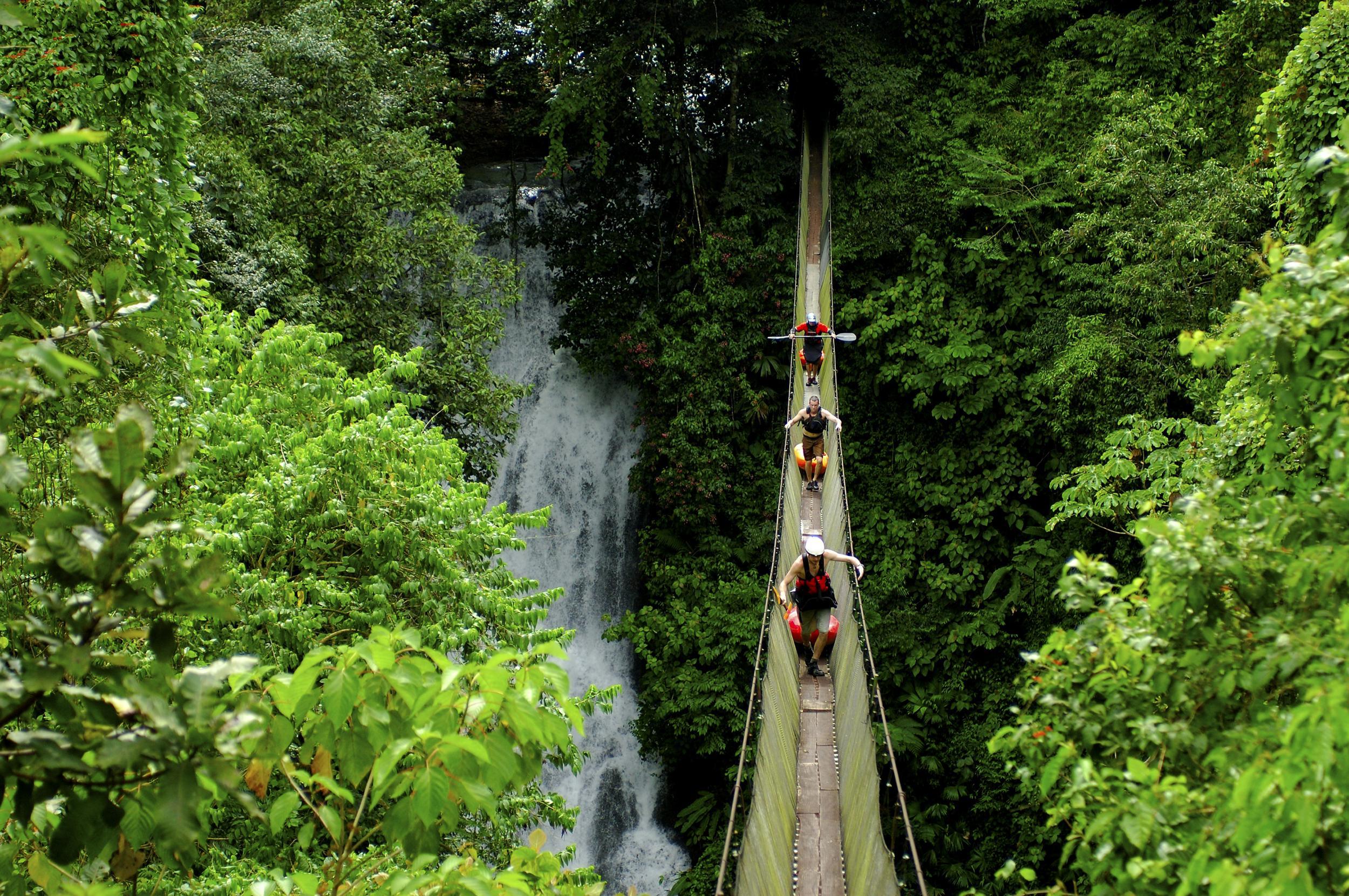 Go wild: head for the jungle in Costa Rica