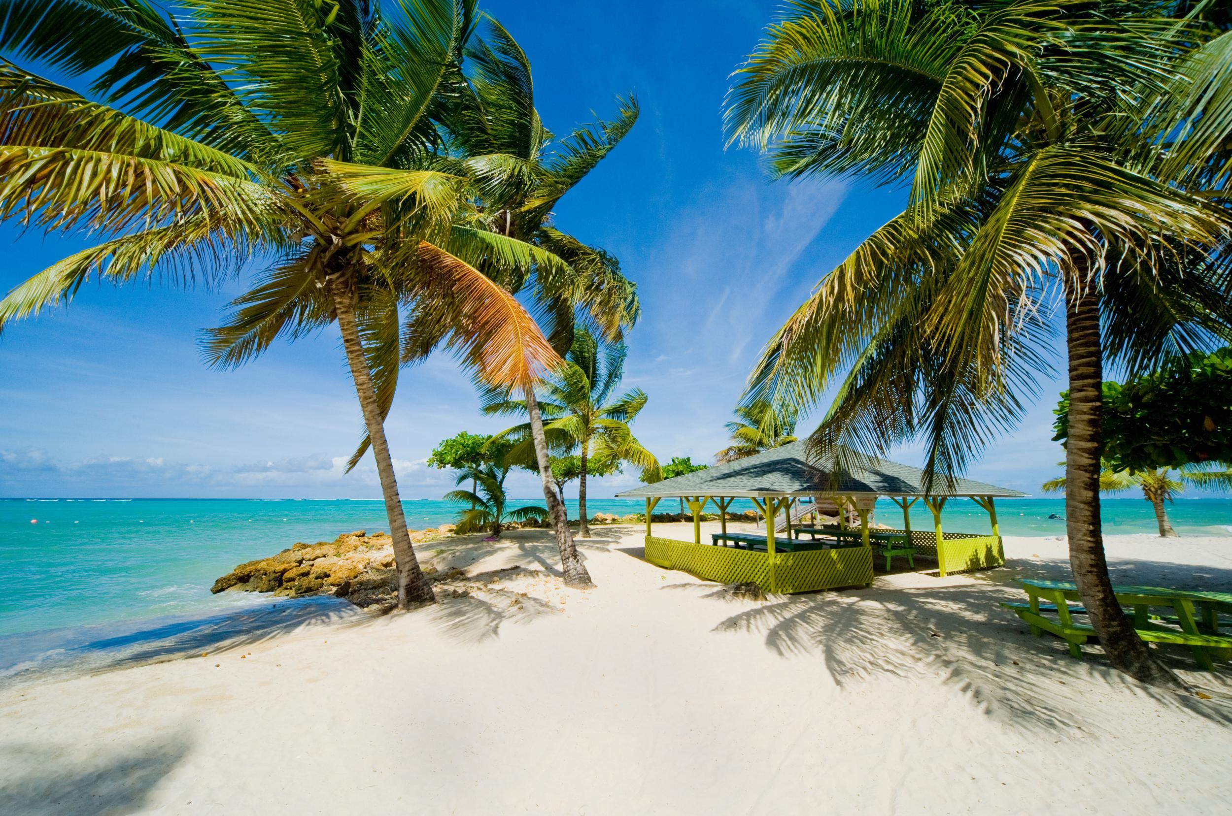 Dream trip? Pigeon Point Beach on the island of Tobago