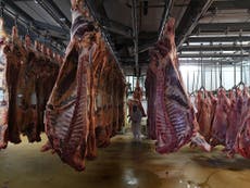 CCTV to be made compulsory in all animal slaughterhouses