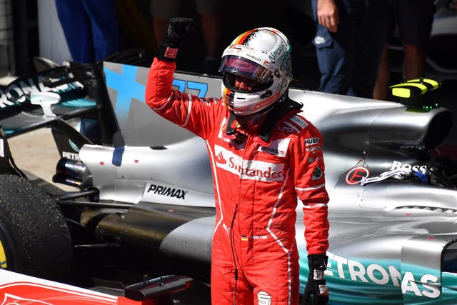 Sebastian Vettel celebrates winning the Brazilian Grand Prix