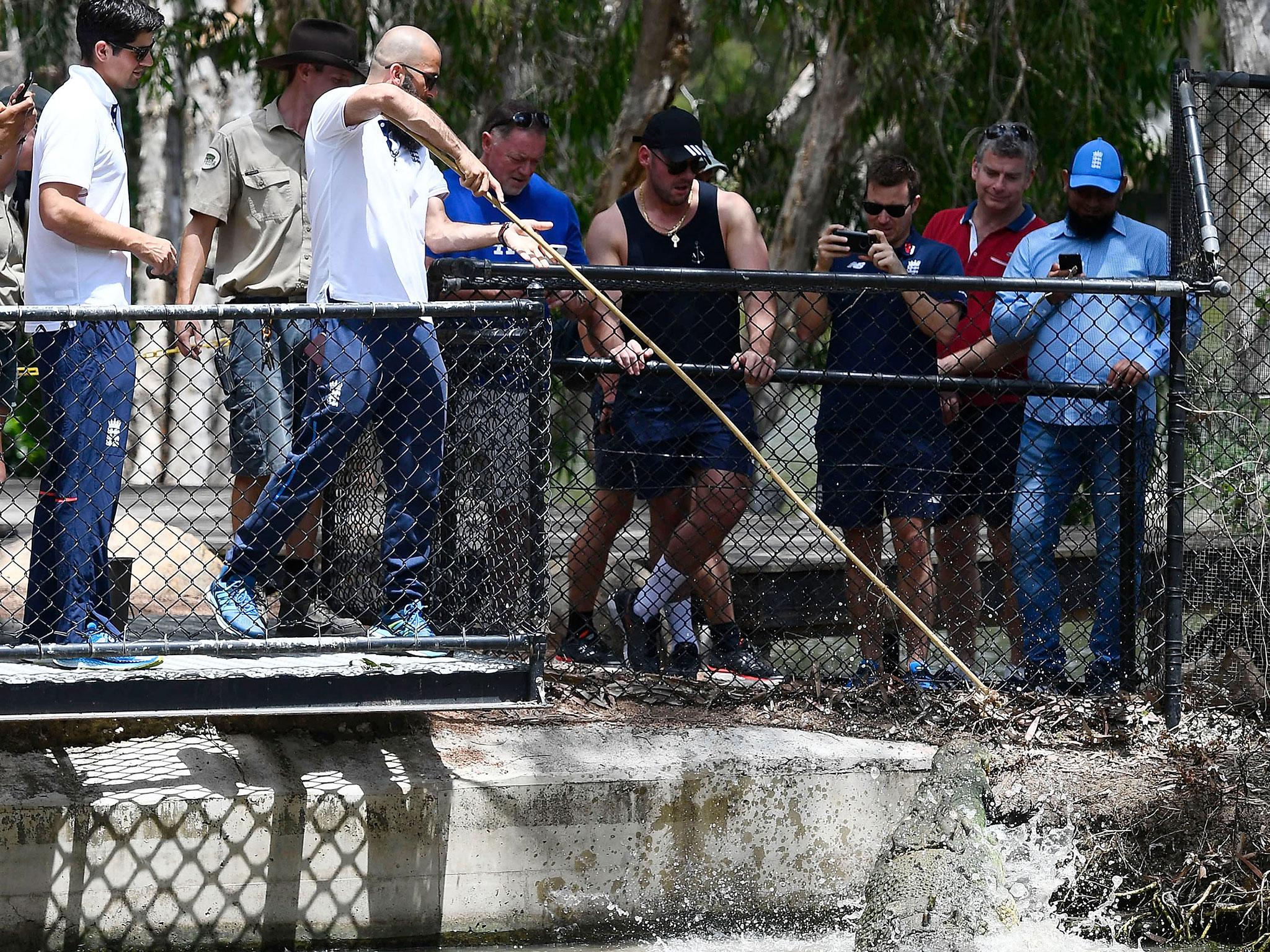 Moeen Ali feeds 'Bully' during a trip to Billabong Sanctuary on the outskirts of Townsville