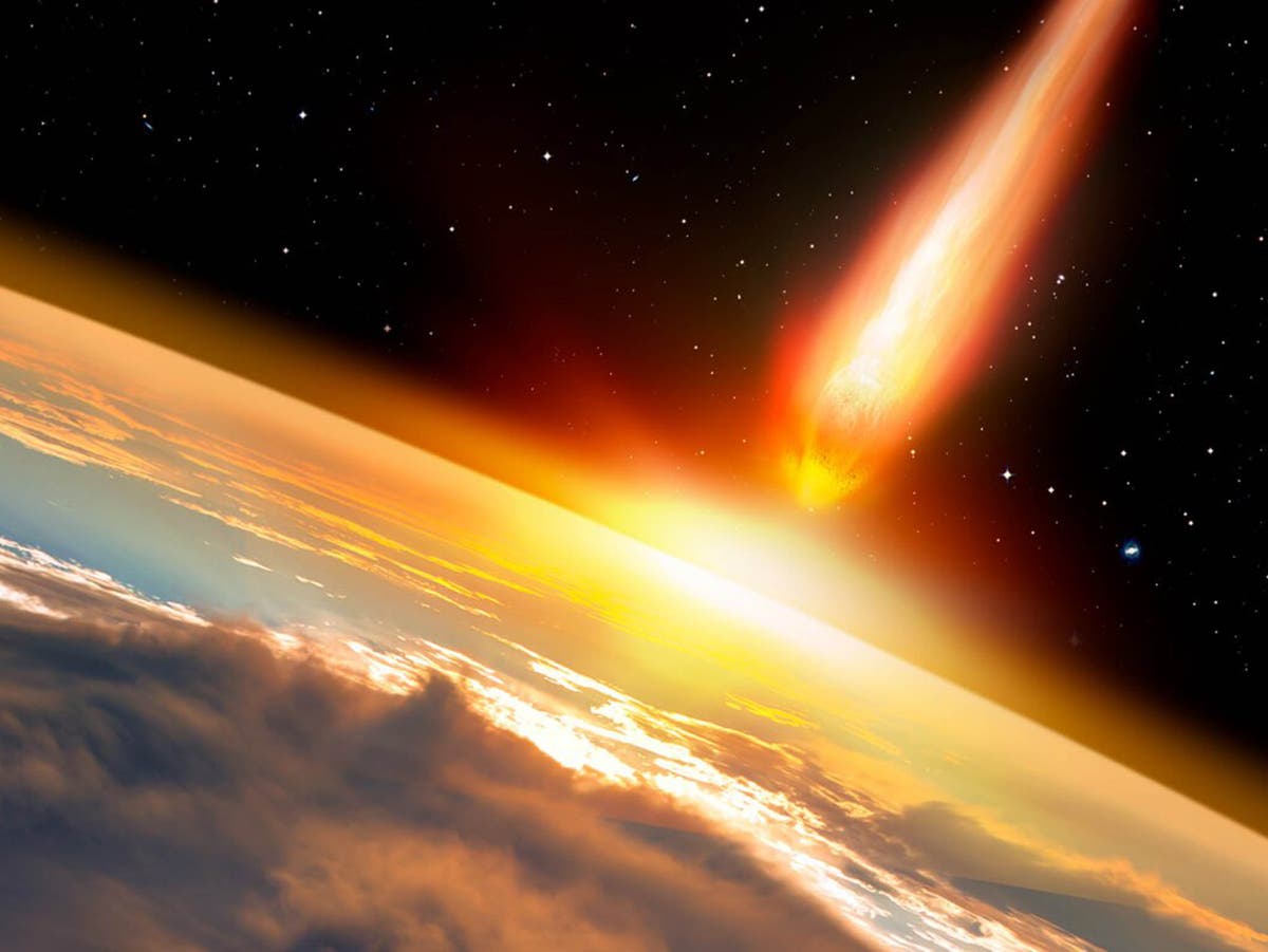 Dinosaurs could have avoided mass extinction if the killer asteroid had ...