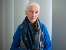 Jane Goodall says 'humanity is finished' if we fail to learn from coronavirus