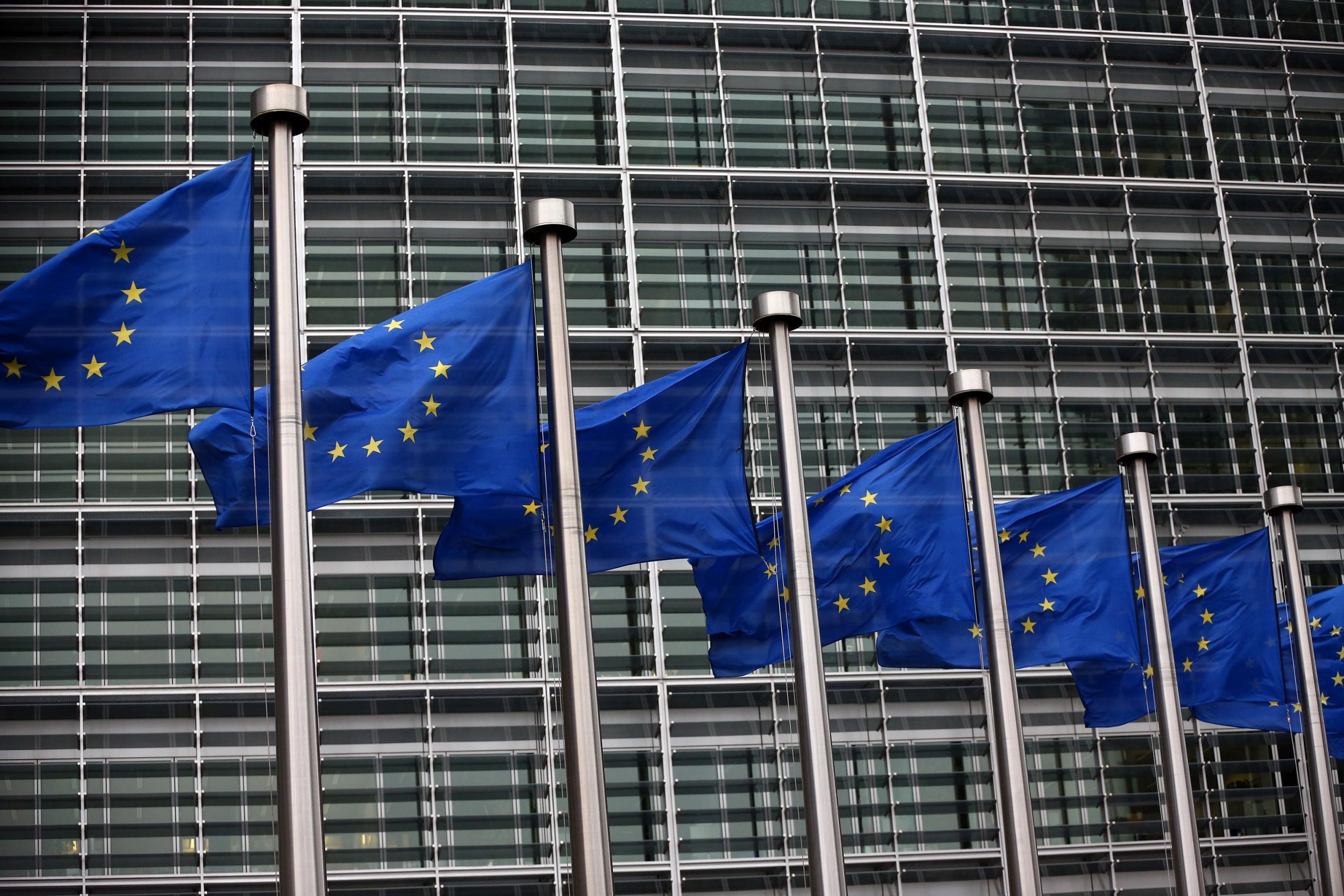 EU states and the European Parliament have three months to object to any of the new rules