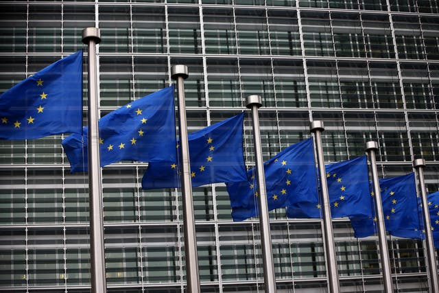 EU states and the European Parliament have three months to object to any of the new rules