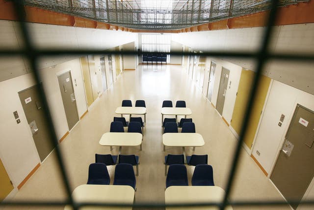 Of the 254 people who remained, 39 per cent were identified as being “adults at risk” in detention, often because they met the criteria for shielding