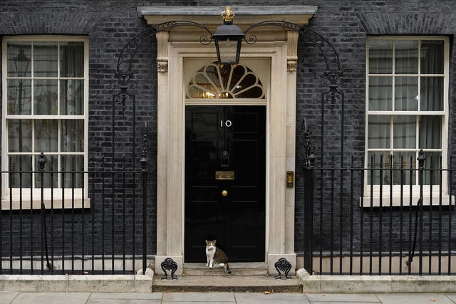 What will 2018 bring for the Prime Minister (and Larry the cat, for that matter)?