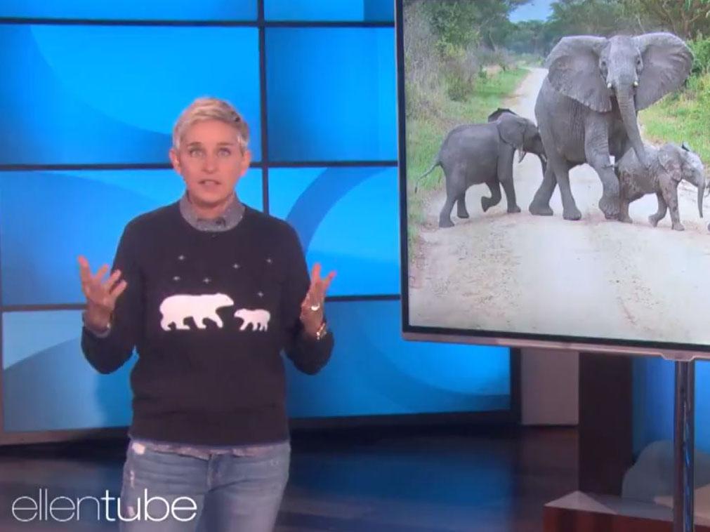 Ellen DeGeneres told an audience the decision 'got to' her